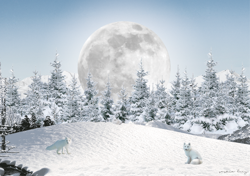 How To | Setting Intentions for the Snow Moon
